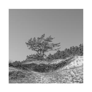 四虎影院成人91
